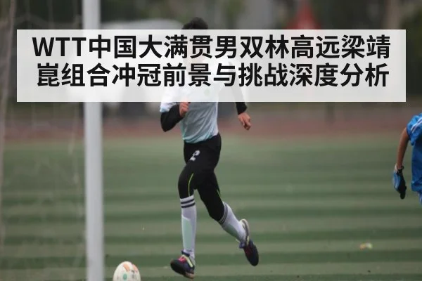 WTT中国大满贯男双林高远梁靖崑组合冲冠前景与挑战深度分析